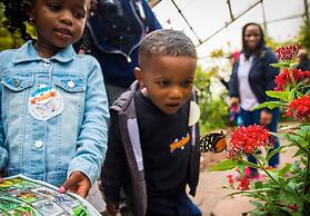 Mission Point Resort