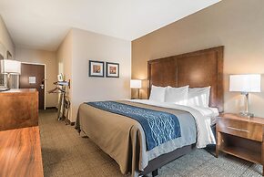 Comfort Inn Concord