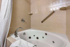 Comfort Inn & Suites Near Fallon Naval Air Station