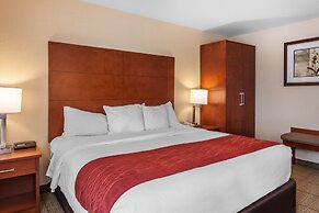 Comfort Inn & Suites Near Fallon Naval Air Station