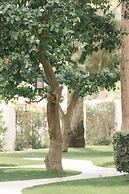 Palm Mountain Resort and Spa