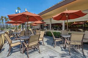 Best Western Seven Seas