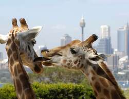 Crowne Plaza Sydney Coogee Beach by IHG