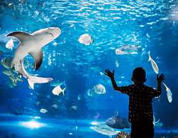 Crowne Plaza Sydney Coogee Beach by IHG