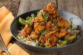 Niagara Falls Marriott on the Falls