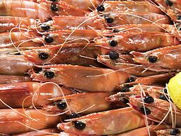 Novotel Surfers Paradise