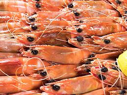 Novotel Surfers Paradise