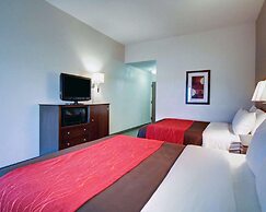 Comfort Inn Moss Point - Pascagoula