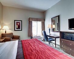 Comfort Inn Moss Point - Pascagoula