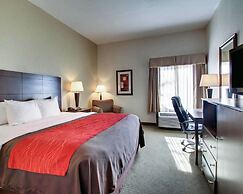 Comfort Inn Moss Point - Pascagoula