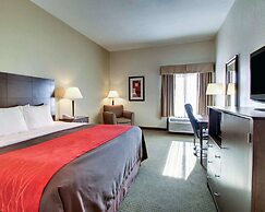 Comfort Inn Moss Point - Pascagoula