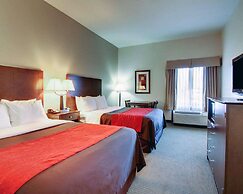 Comfort Inn Moss Point - Pascagoula