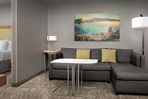 SpringHill Suites by Marriott Boise ParkCenter