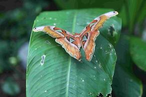 Comfort Inn Cambridge