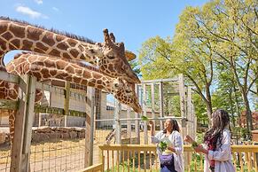 The Alloy King of Prussia - a DoubleTree by Hilton