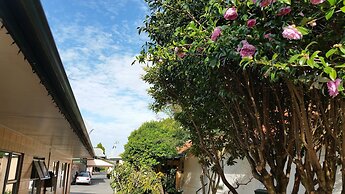 Cedar Lodge Motel Hamilton