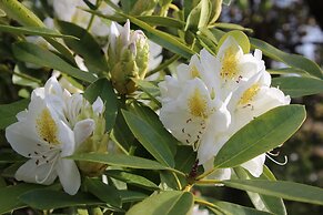 Cedar Lodge Motel Hamilton