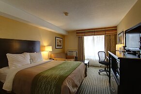 Comfort Inn Chatham