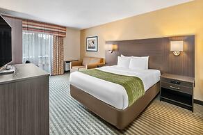 Comfort Inn Chatham