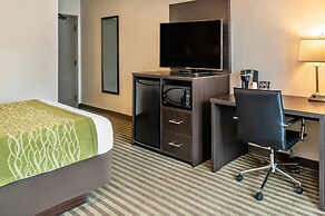 Comfort Inn Chatham