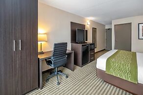 Comfort Inn Chatham