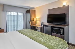 Comfort Inn Chatham
