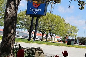 Comfort Inn Chatham