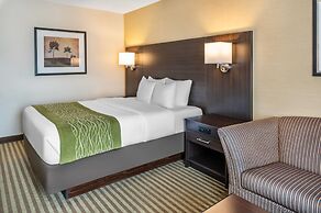 Comfort Inn Chatham