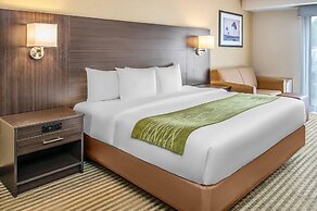 Comfort Inn Chatham