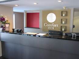 Comfort Inn Cobourg