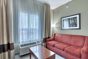 Comfort Suites Madison West - Middleton