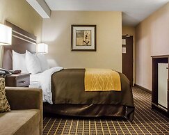 Comfort Inn Guelph