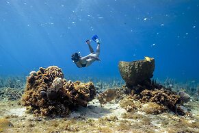 Fiesta Americana Cozumel All Inclusive