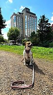 Crowne Plaza Düsseldorf-Neuss by IHG