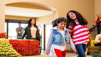 Holiday Inn Chicago O'Hare Area by IHG