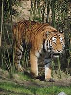 Mercure Hotel Duisburg City