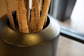 Courtyard by Marriott San Diego Del Mar/Solana Beach