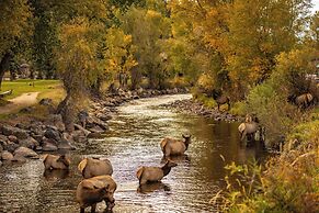 Holiday Inn Estes Park by IHG