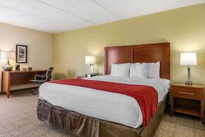 Comfort Inn Downtown