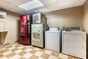 Comfort Inn Downtown