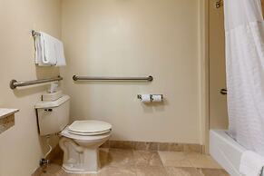 Comfort Inn Downtown