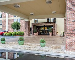 Comfort Inn Downtown