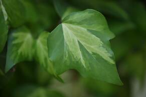 Holiday Inn Vienna City by IHG