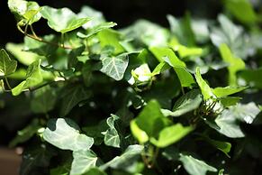 Holiday Inn Vienna City by IHG