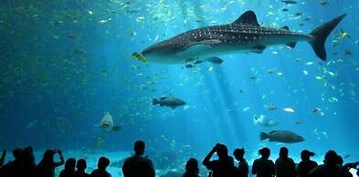 Novotel Bangkok On Siam Square