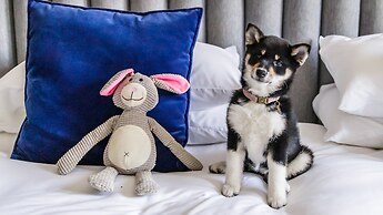 Kimpton De Witt Amsterdam by IHG