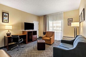 Comfort Inn Roswell-Dunwoody