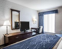 Comfort Inn Bellingham