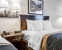 Comfort Inn Bellingham