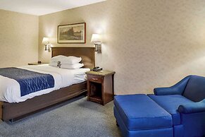 Comfort Inn Bellingham
